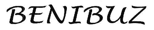BENIBUZ logo