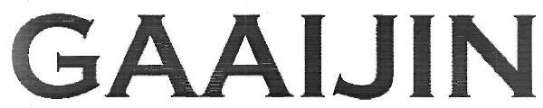 GAAIJIN logo