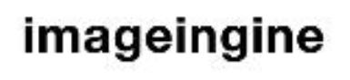 imageingine logo