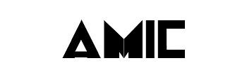 AMIC logo