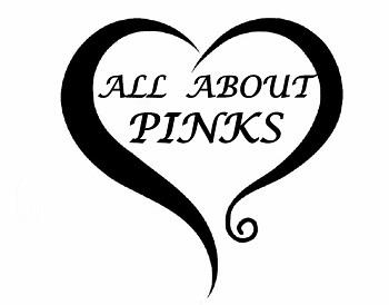 ALL ABOU PINKS logo