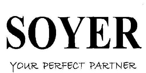 YOUR. PERFECT PARTNER logo