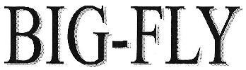 BIG-FLY logo