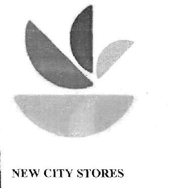 | NEW CITY STORES logo