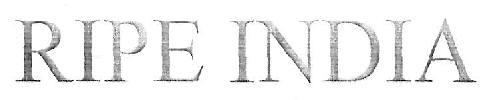 RIPE INDIA logo