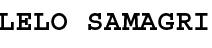 LELO SAMAGRI logo
