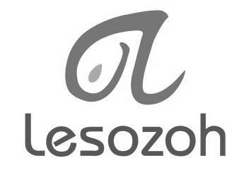 Lesozoh logo