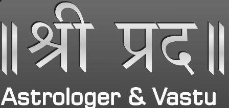Astrologer & Vastu logo