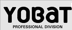 PROFESSIONAL DIVISION logo