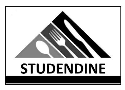 STUDENDINE logo