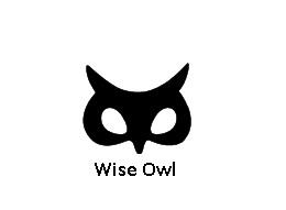 Wise Owl logo