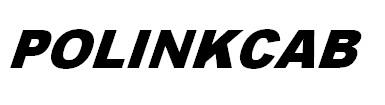 POLINKCAB logo