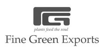 plants feed the soul Fine Green Exports logo