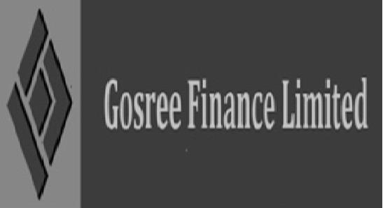 Gostee Finance Limited logo