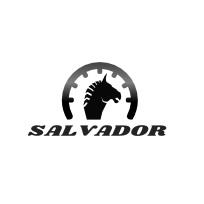 SALVADOR logo