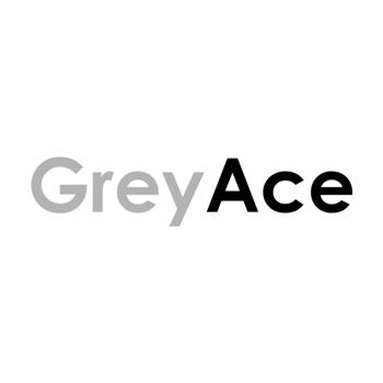 Ace logo