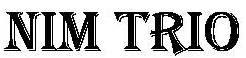 NIM TRIO logo