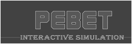INTERACTIVE SIMULATION logo