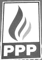 IPPP | logo