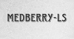 MEDBERRY-LS logo