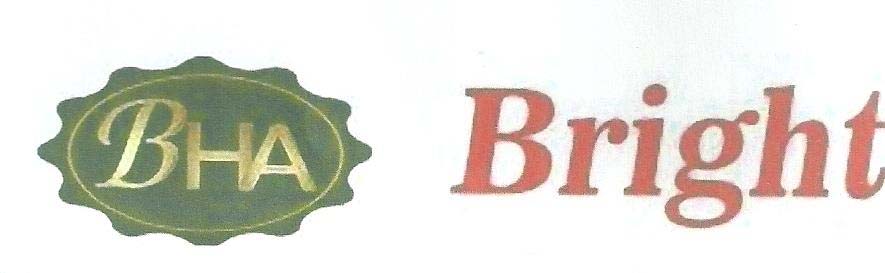 Bright logo