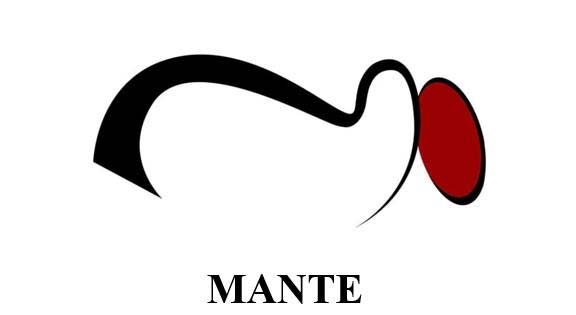 MANTE logo