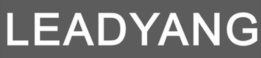LEADYANG logo