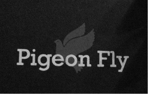 Pigeon Fly logo