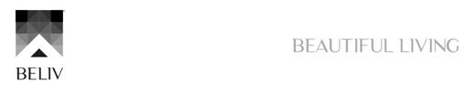 BELIV logo
