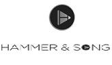 HAMMER & SONS logo