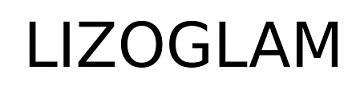 LIZOGLAM logo