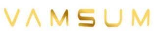 VAMSUM logo