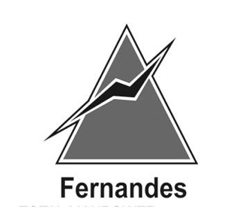 Fernandes logo