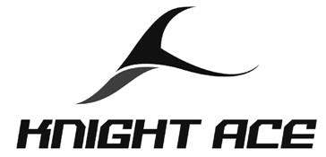 ACE logo