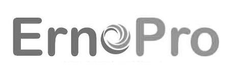 ErnePro logo