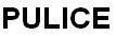 PULICE logo