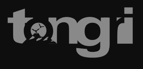 tenga logo
