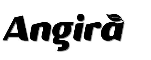 Angira logo