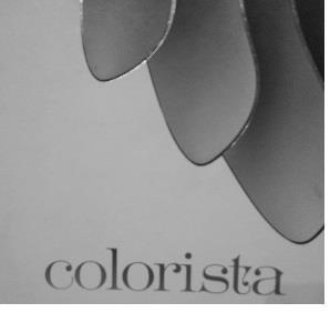 colorista logo