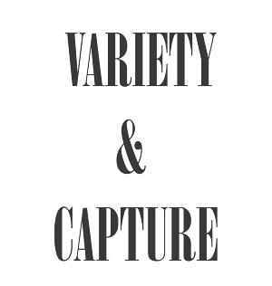VARIETY CAPTURE logo