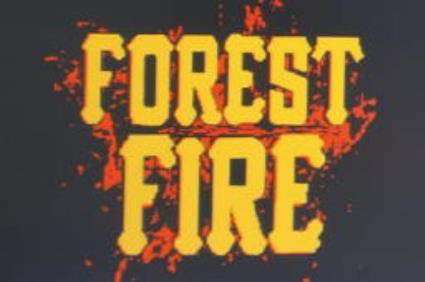 FOREST FIRE logo