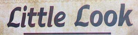 Little Look logo