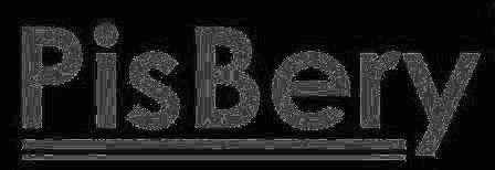 PisBery logo