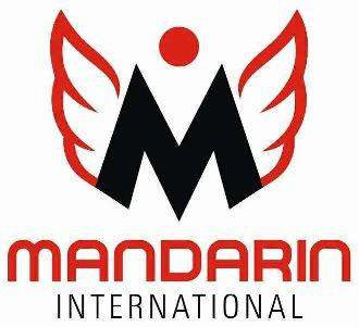 INTERNATIONAL logo