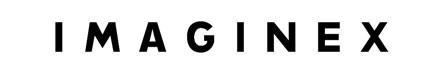 IMAGINEX logo