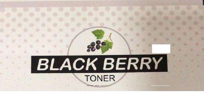 BLACK BERRY TONER logo