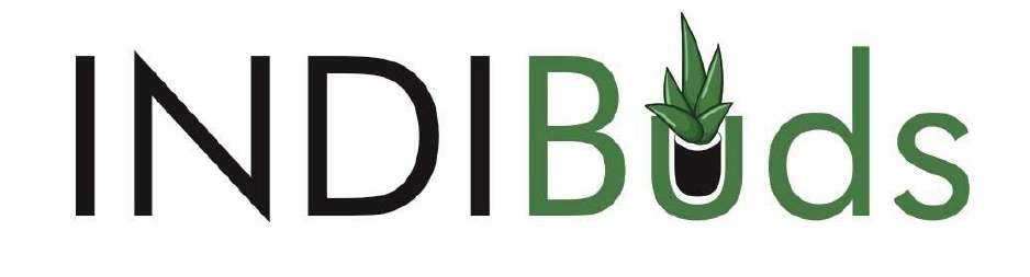 INDIB&ds logo
