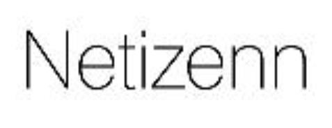 Netizenn logo