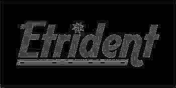 Efrident logo