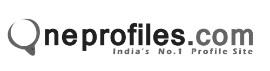 Qneprofiles.com logo